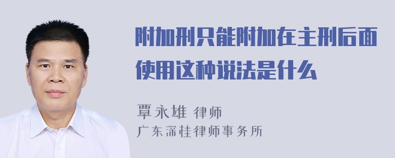 附加刑只能附加在主刑后面使用这种说法是什么