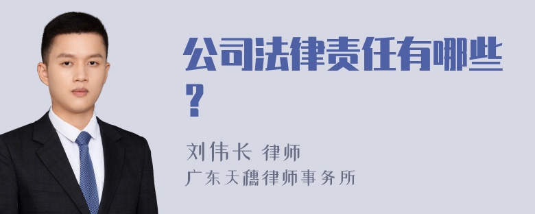 公司法律责任有哪些？