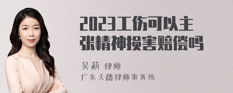 2023工伤可以主张精神损害赔偿吗