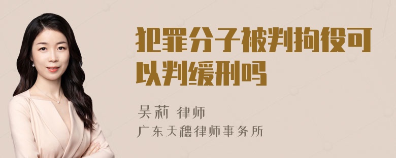 犯罪分子被判拘役可以判缓刑吗