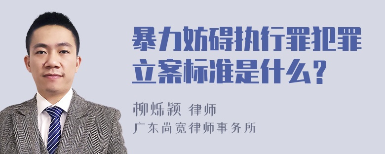 暴力妨碍执行罪犯罪立案标准是什么？