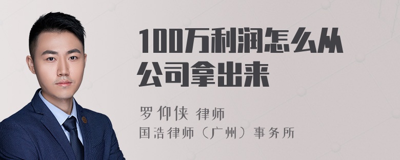 100万利润怎么从公司拿出来