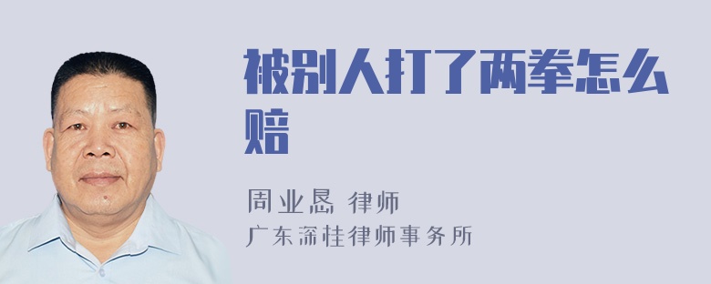 被别人打了两拳怎么赔