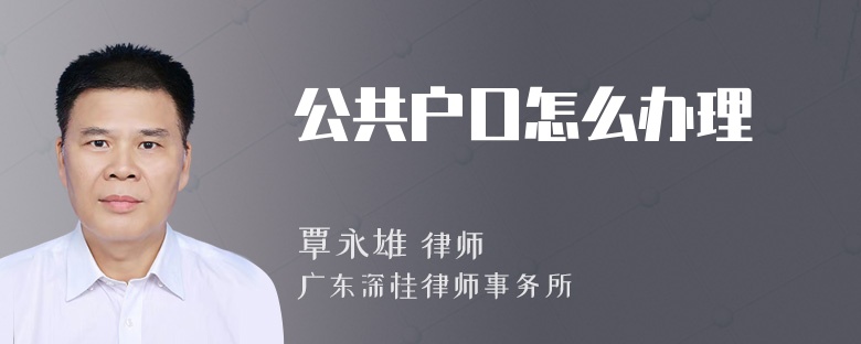 公共户口怎么办理