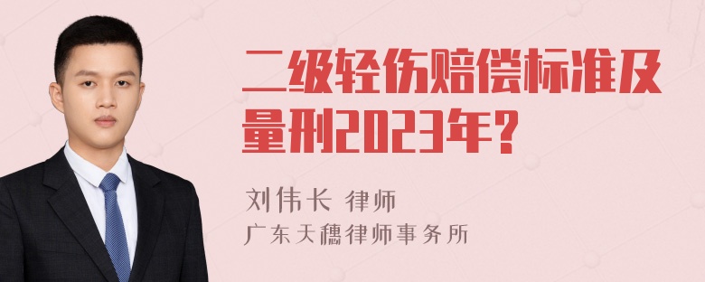 二级轻伤赔偿标准及量刑2023年?