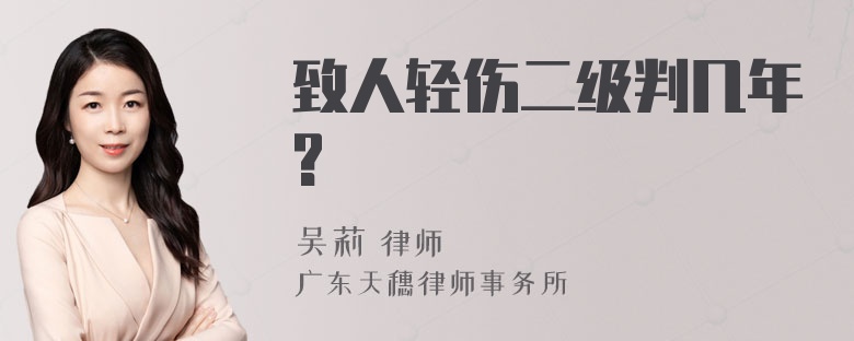 致人轻伤二级判几年?