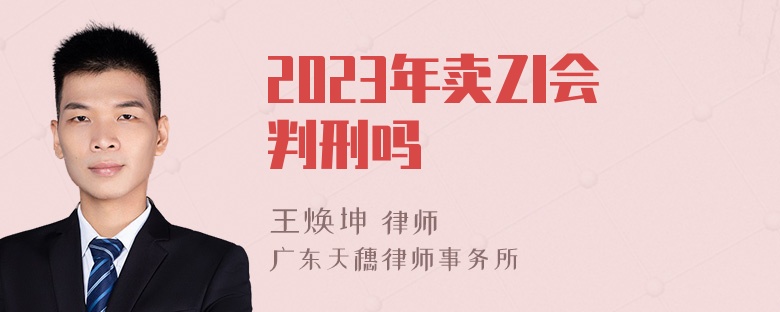 2023年卖Zl会判刑吗