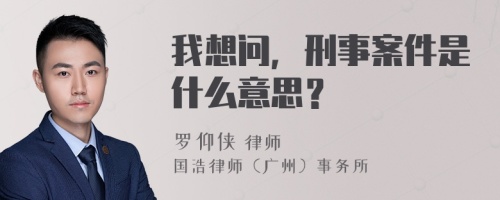 我想问，刑事案件是什么意思？