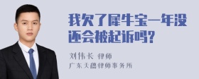 我欠了犀牛宝一年没还会被起诉吗?