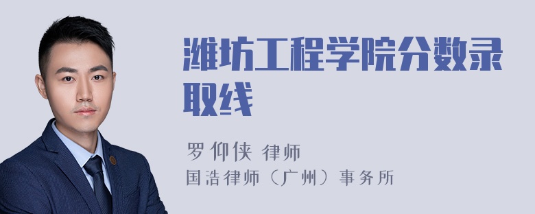 潍坊工程学院分数录取线