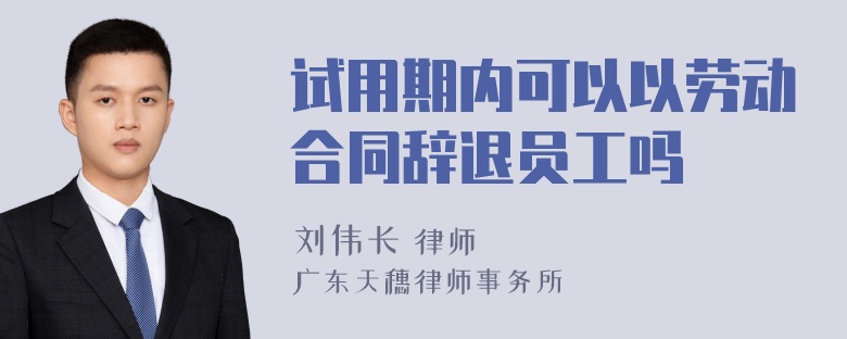 试用期内可以以劳动合同辞退员工吗