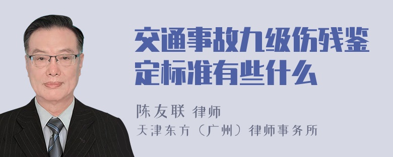 交通事故九级伤残鉴定标准有些什么