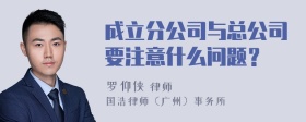 成立分公司与总公司要注意什么问题？