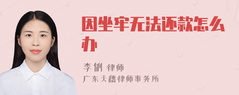 因坐牢无法还款怎么办