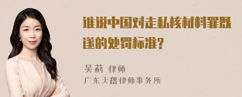 谁说中国对走私核材料罪既遂的处罚标准?