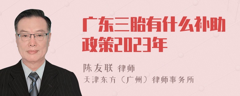 广东三胎有什么补助政策2023年