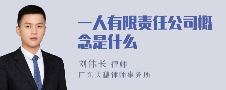 一人有限责任公司概念是什么