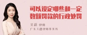 可以设定哪些和一定数额罚款的行政处罚