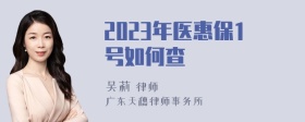 2023年医惠保1号如何查