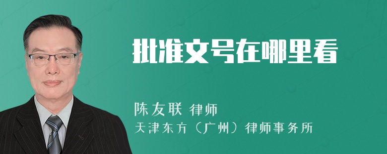 批准文号在哪里看