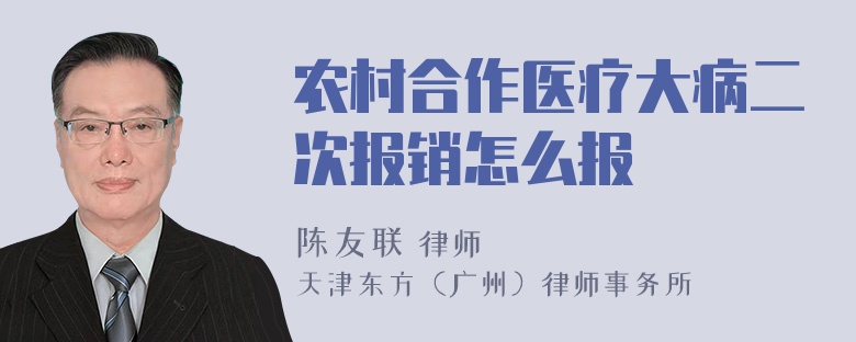 农村合作医疗大病二次报销怎么报