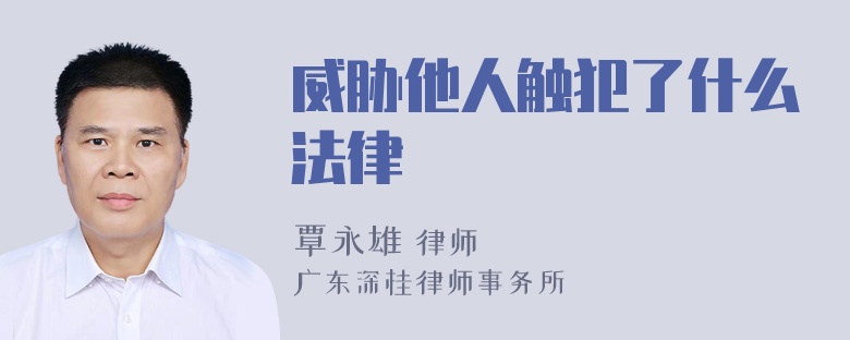 威胁他人触犯了什么法律