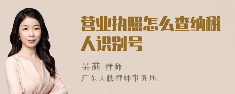 营业执照怎么查纳税人识别号