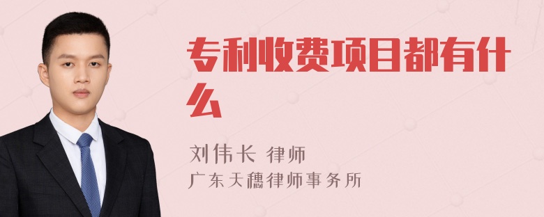 专利收费项目都有什么