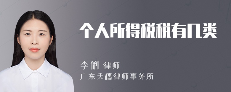 个人所得税税有几类