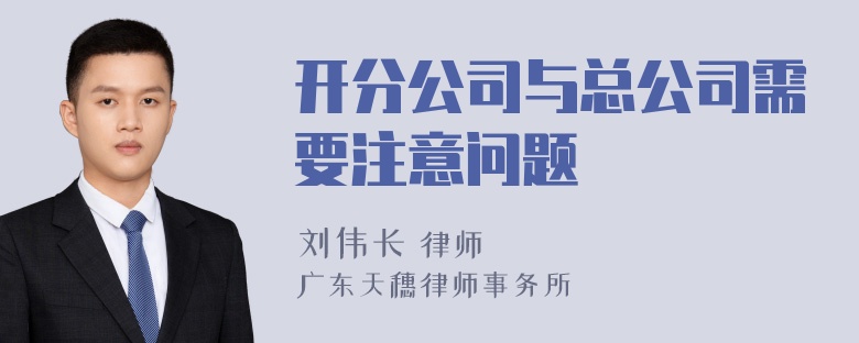 开分公司与总公司需要注意问题