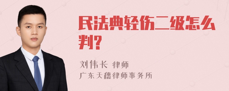 民法典轻伤二级怎么判?