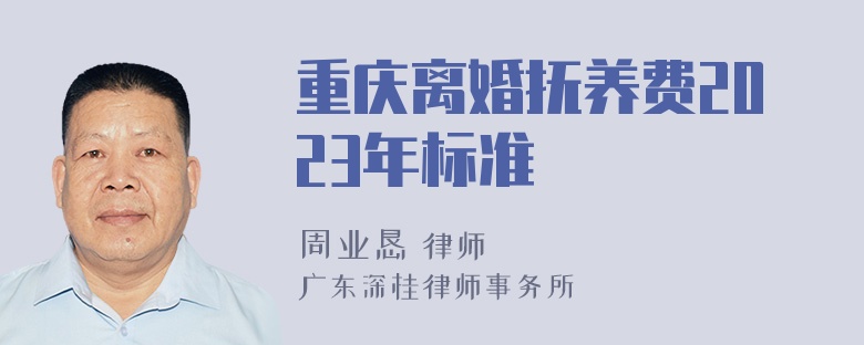 重庆离婚抚养费2023年标准