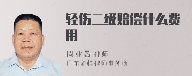 轻伤二级赔偿什么费用