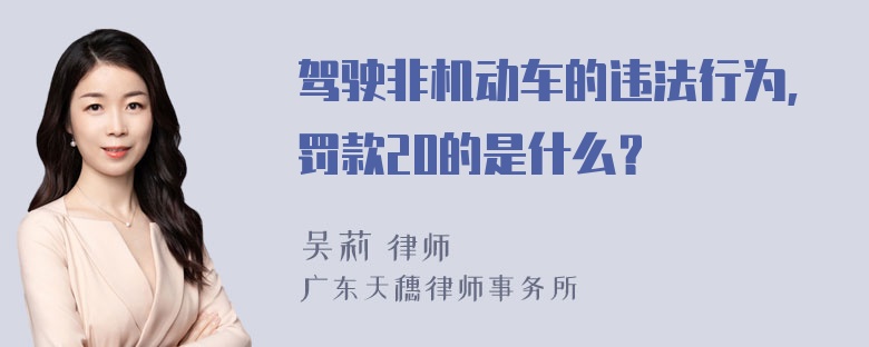 驾驶非机动车的违法行为,罚款20的是什么？