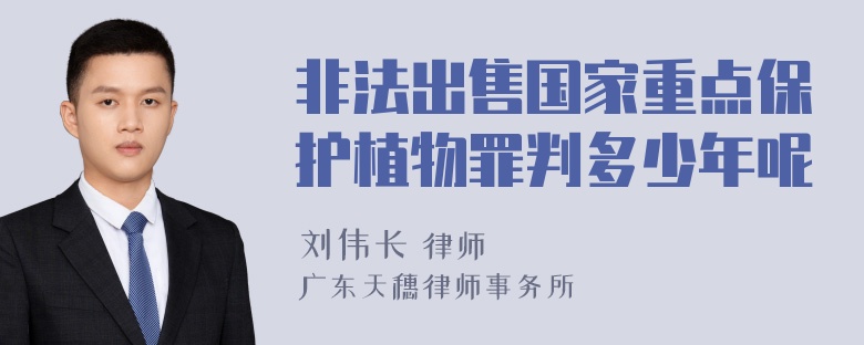 非法出售国家重点保护植物罪判多少年呢