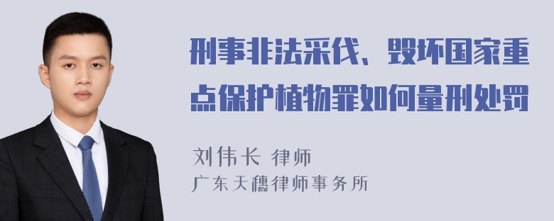 刑事非法采伐、毁坏国家重点保护植物罪如何量刑处罚