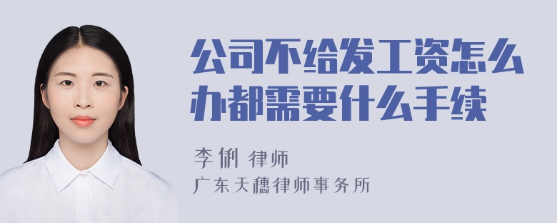 公司不给发工资怎么办都需要什么手续