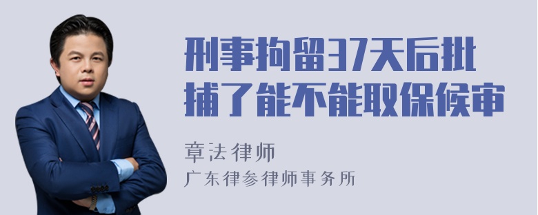 刑事拘留37天后批捕了能不能取保候审