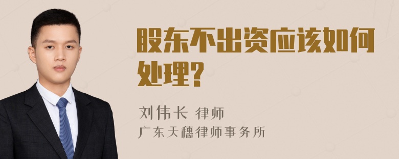 股东不出资应该如何处理?