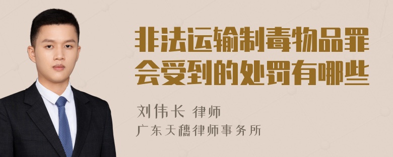 非法运输制毒物品罪会受到的处罚有哪些