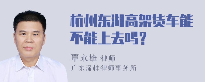 杭州东湖高架货车能不能上去吗？