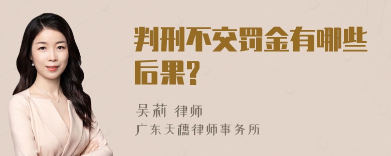 判刑不交罚金有哪些后果?