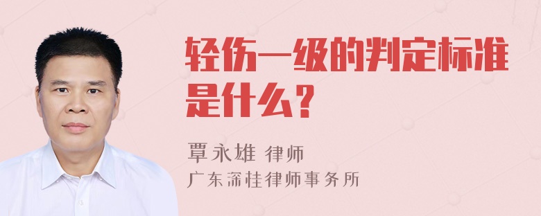 轻伤一级的判定标准是什么？