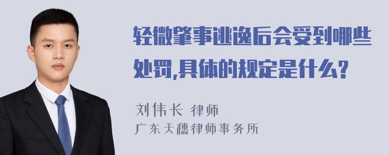 轻微肇事逃逸后会受到哪些处罚,具体的规定是什么?