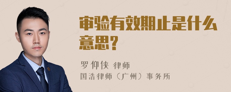 审验有效期止是什么意思?