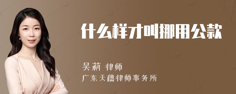 什么样才叫挪用公款