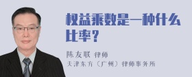 权益乘数是一种什么比率？