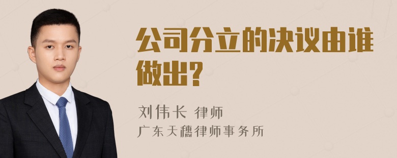 公司分立的决议由谁做出?