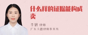 什么样的证据能构成卖婬