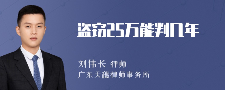 盗窃25万能判几年